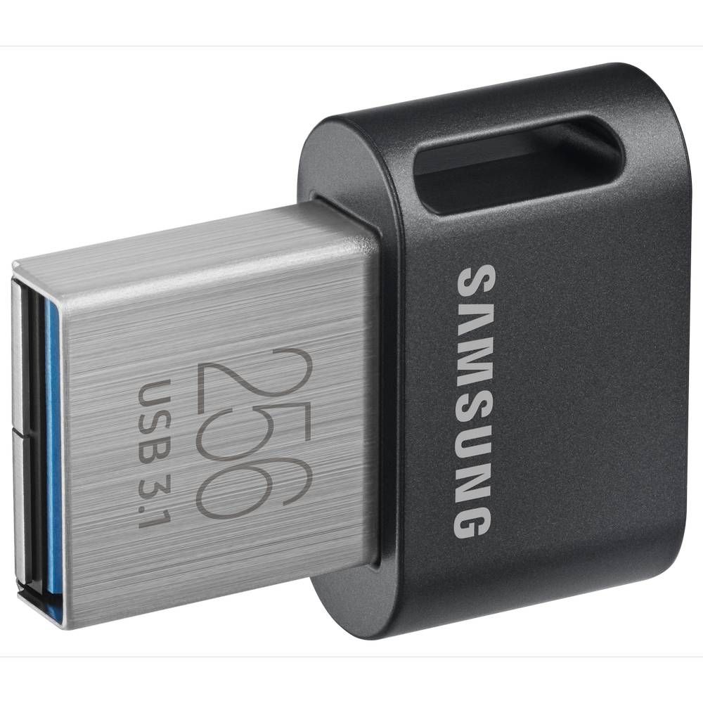 Флеш-накопитель Samsung FIT plus, 256GB, серый— фото №1